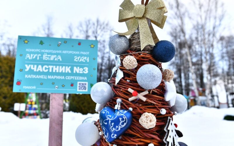 В парке на Даманском острове открылась выставка креативных ёлок
