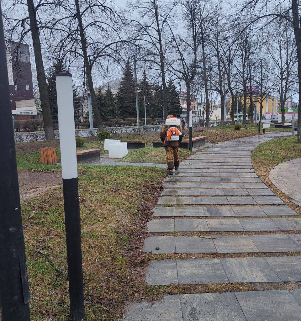 В Ярославле началась обработка зелёных территорий от клещей