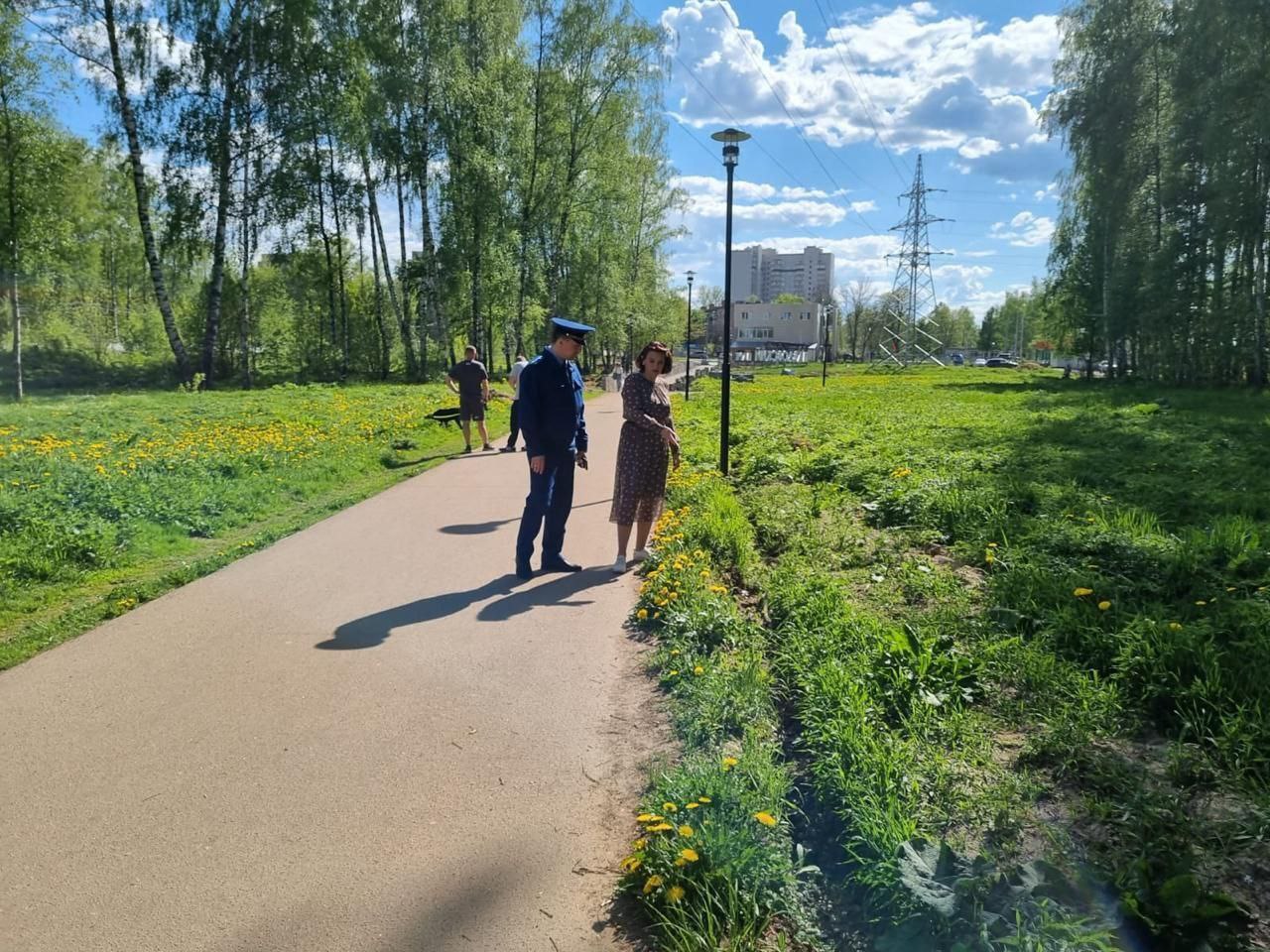 Бывшего подрядчика Павловской рощи в Ярославле обвиняют в самоуправстве
