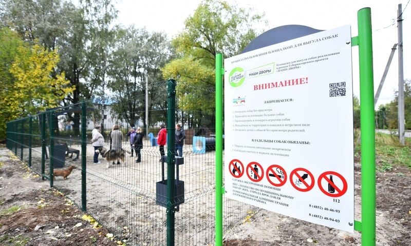 В Ярославской области ввели ответственность за нарушения требований к содержанию домашних животных