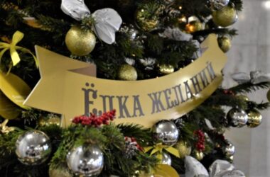 В Ярославской области начинается акция «Елка желаний»