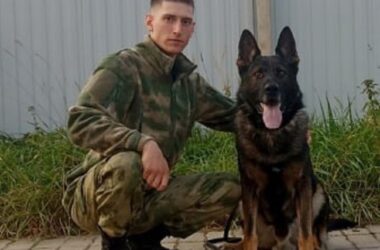 В Рыбинске служебная собака помогла задержать подозреваемого в серии грабежей