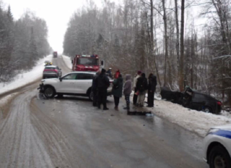 Под Ярославлем в ДТП погиб пятилетний мальчик
