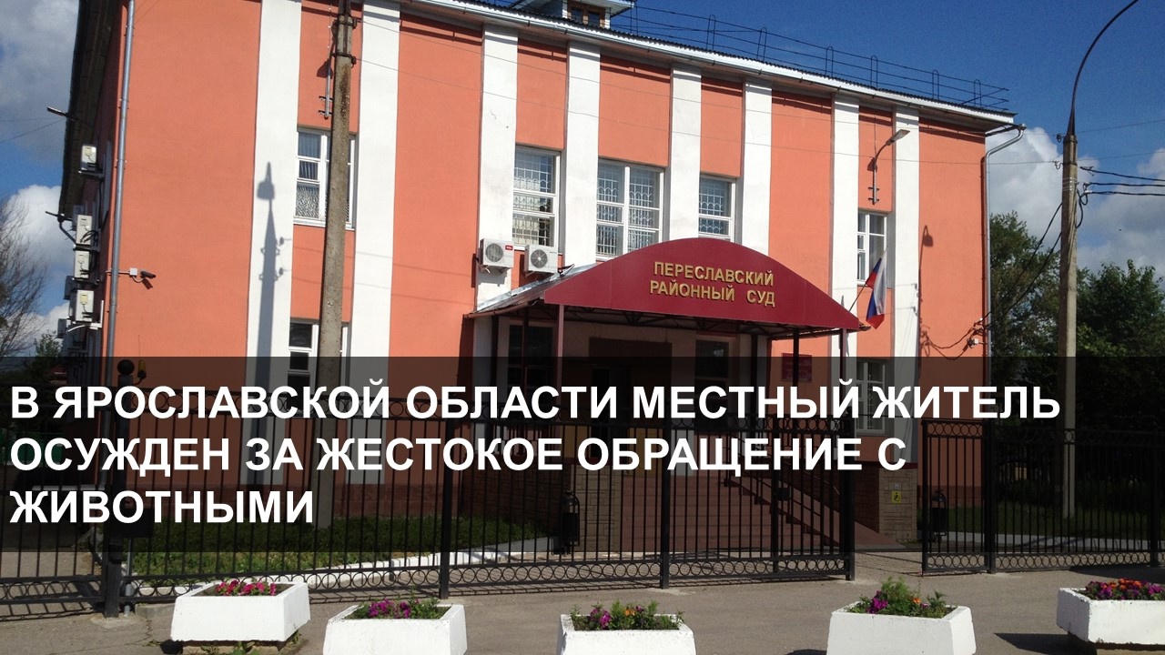 Жителя Ярославской области признали виновным в жестоком обращении с животными