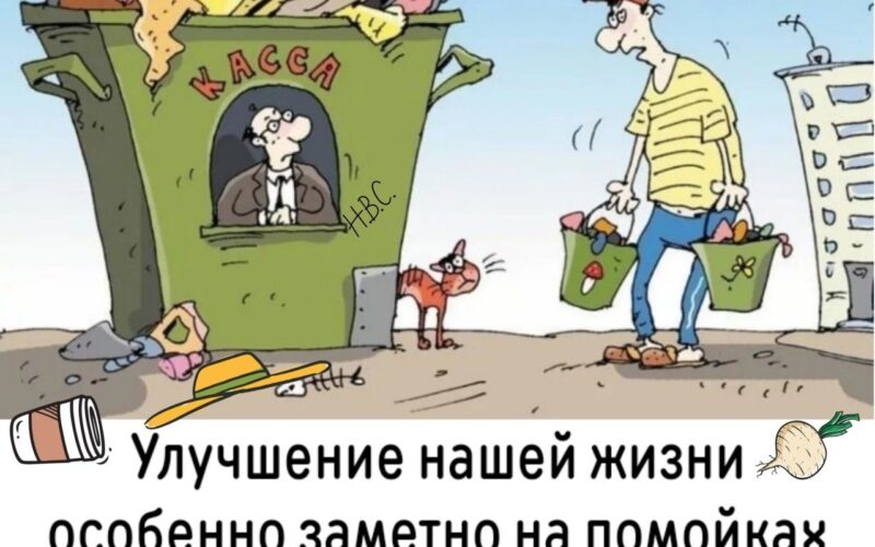 Анатолий Каширин поделился мнением о проводимых «улучшениях»