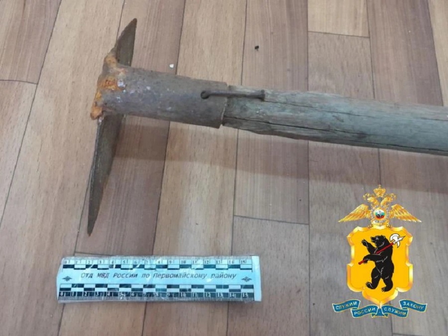 В суд направлено уголовное дело жителя Первомайского района, ударившего знакомую садовой тяпкой по голове