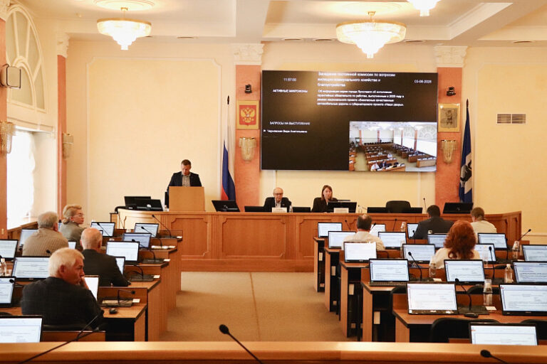 Депутаты обсудили благоустройство дворов, ремонт дорог и борьбу с борщевиком