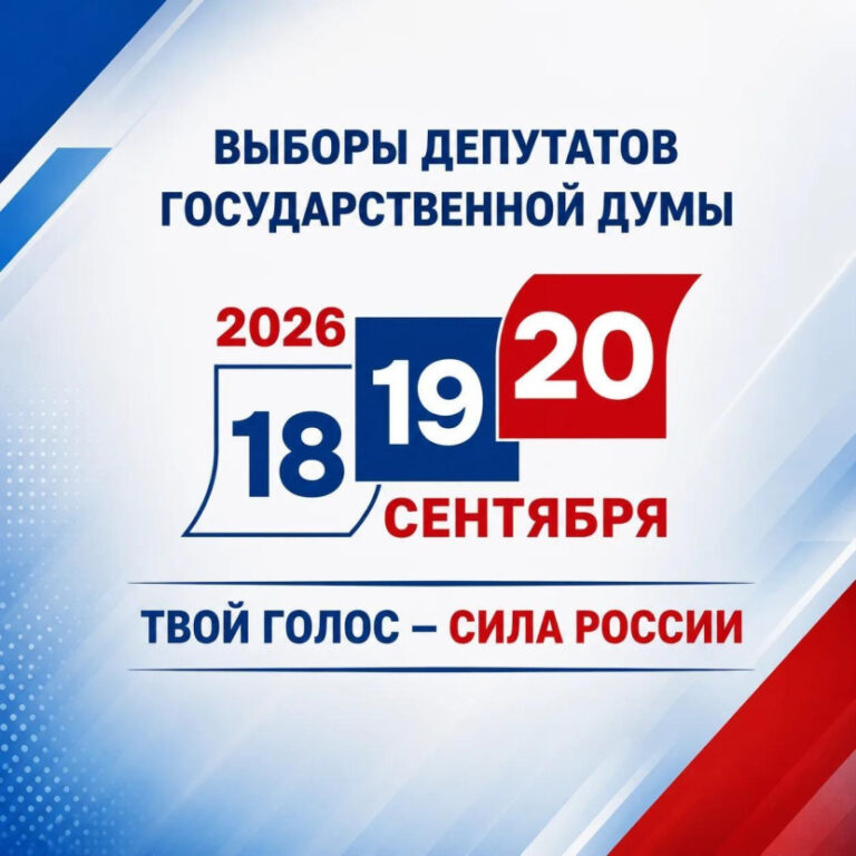 Все на выборы!