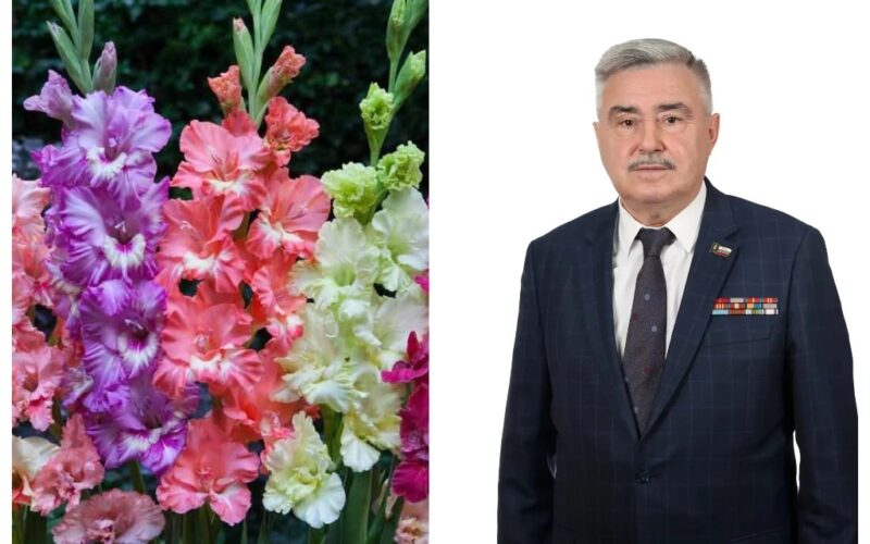 С Днем знаний!